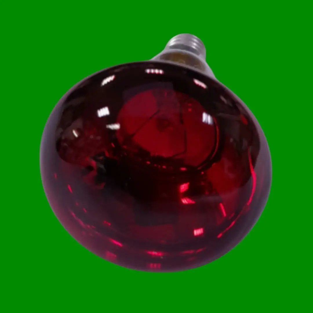8x 40W Red Coloured R50 Incandescent Reflector Spotlight SES E14 Light Bulb - image 2 | Free standard UK delivery included | Discount Quality Products