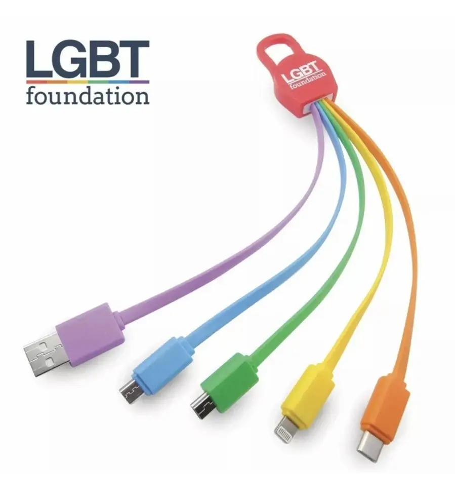 LGBT Foundation Universal USB Charge 5 in 1 Charging Cable, Multicoloured &amp; Clip