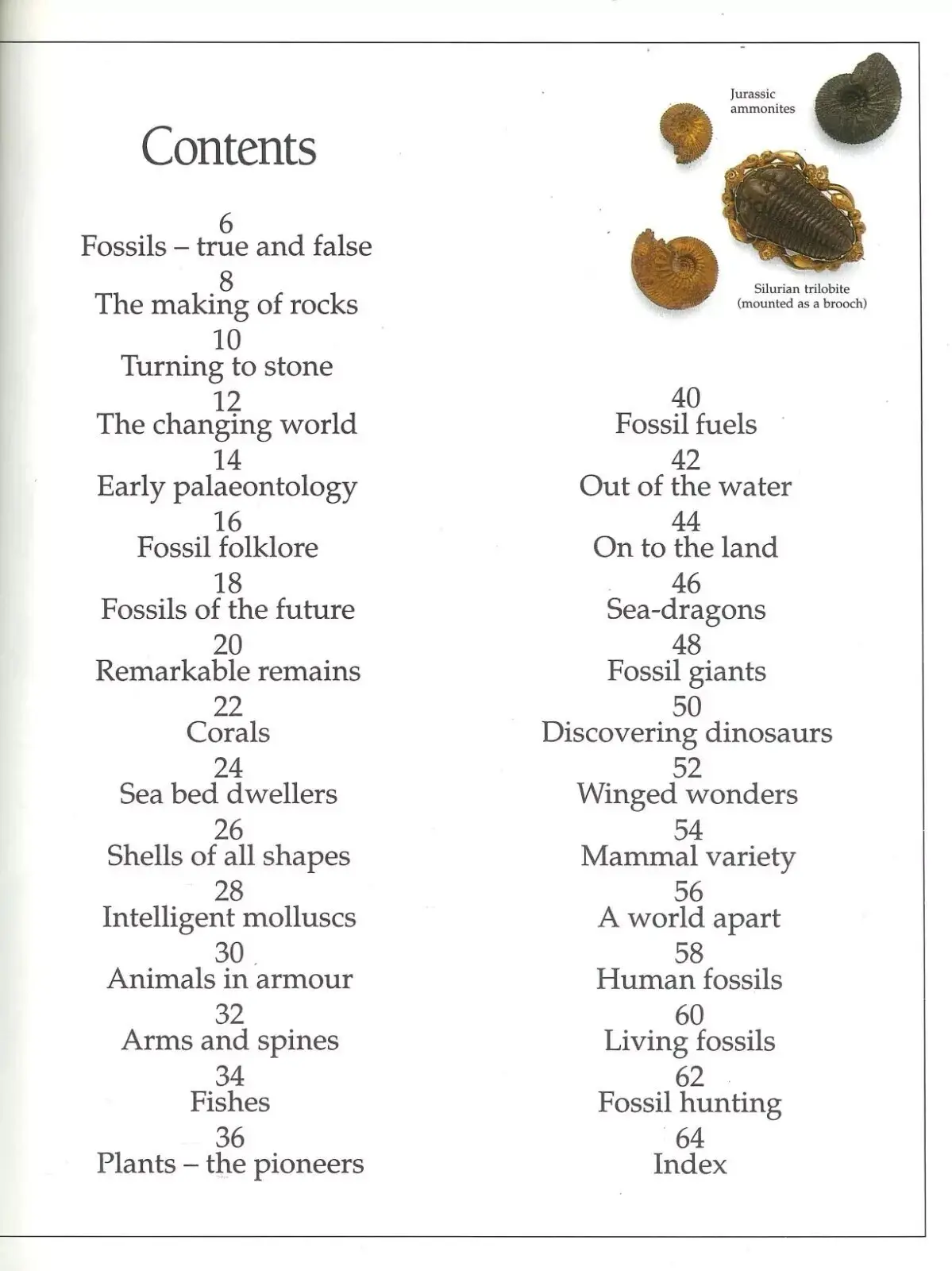 Fossil - DK Eyewitness Guides, Natural History Museum, Hardcover Book, Vol. 19 - image 2 | Free standard UK delivery included | Discount Quality Products