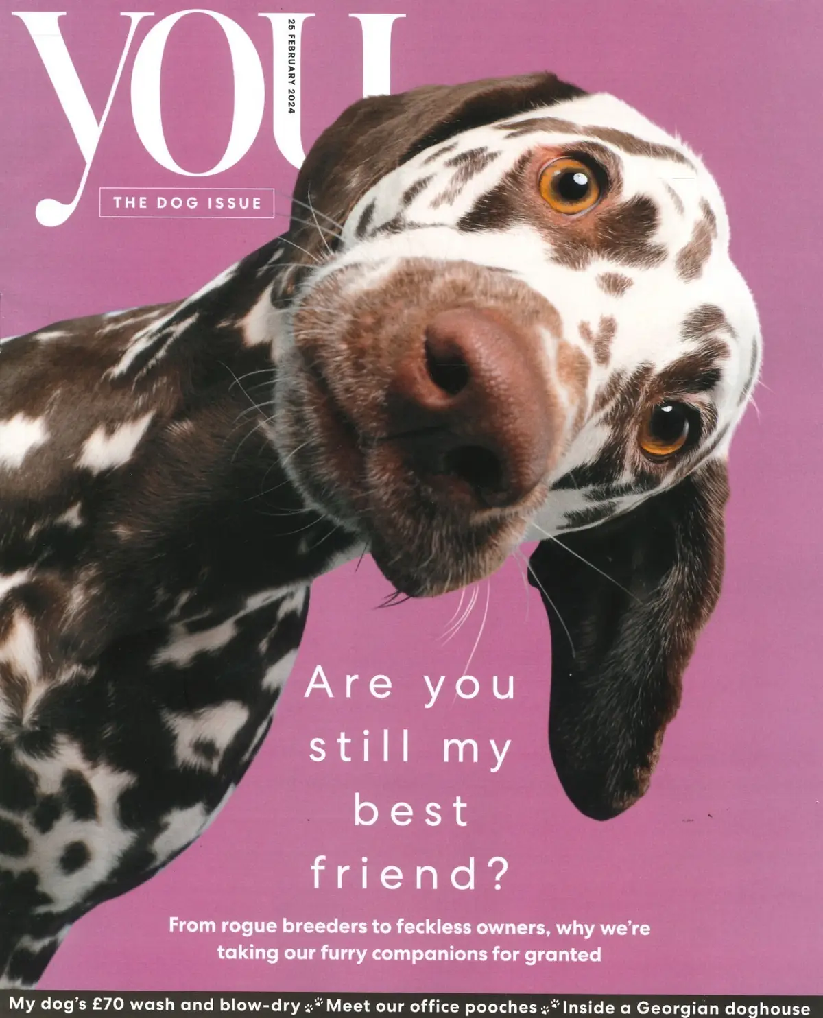 You Magazine: Dog Issue, Tim Spector, Joanne Hegarty, Fashion, Style, 25.2.24 - Free standard UK delivery included | Discount Quality Products