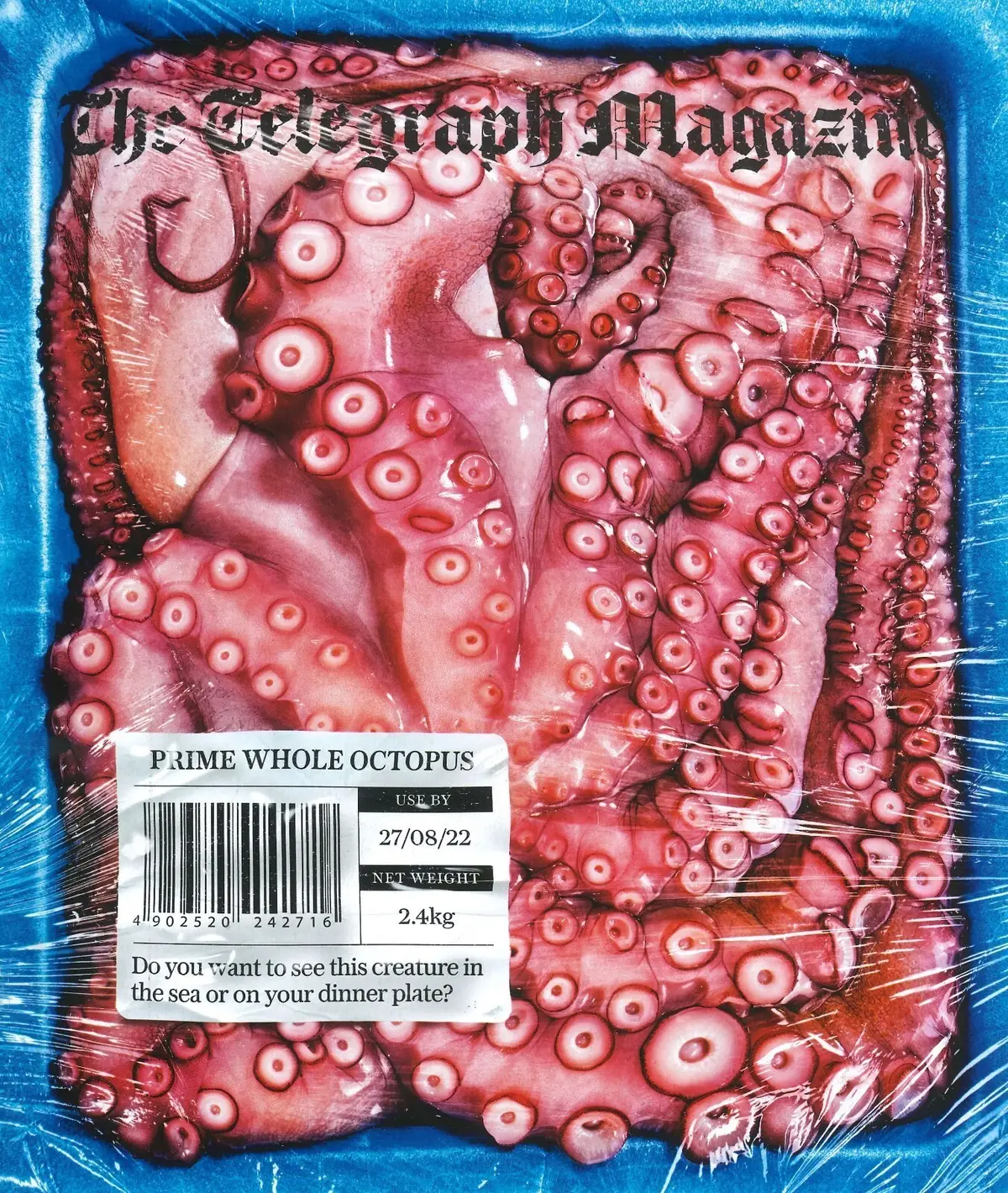 Telegraph Magazine: KT Tunstall, Felicity Jones, Kate Reddy, Mark Hix, 27.8.22 - Free standard UK delivery included | Discount Quality Products