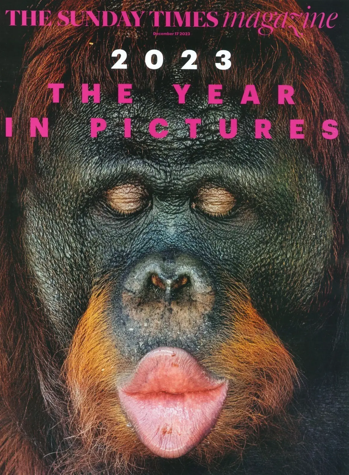Sunday Times Magazine Year in Pictures, Taylor Swift, Joe Biden, Israel 17.12.23 - Free standard UK delivery included | Discount Quality Products