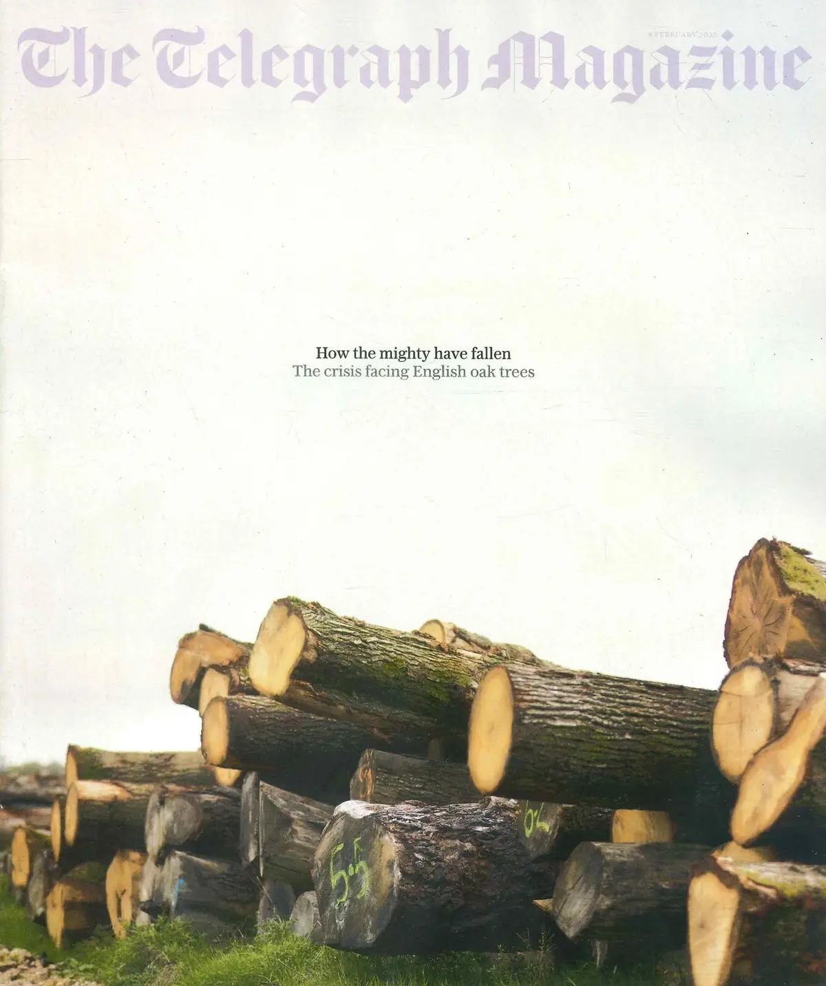 Telegraph Magazine: Steve McQueen, Edith Bowman, R. Madeley, Mark Hix, 8.2.25 - Free standard UK delivery included | Discount Quality Products