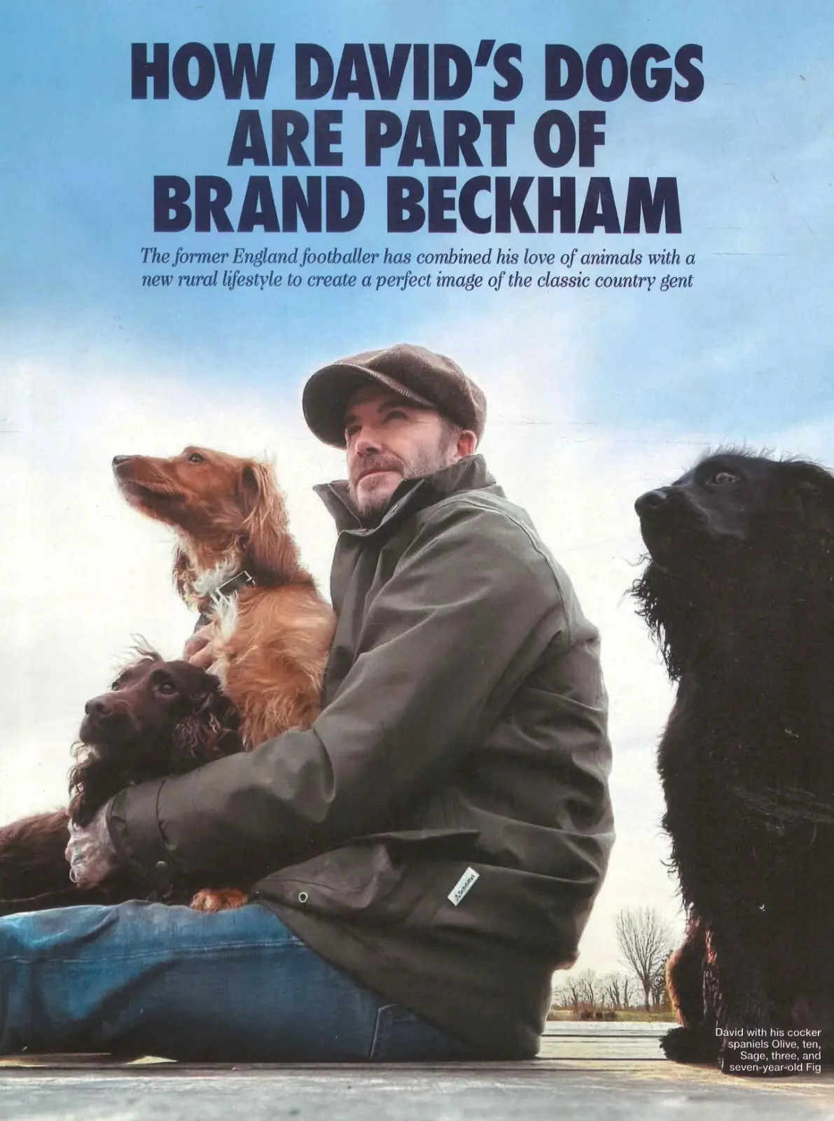 HELLO! Magazine: Prince Harry, David Beckham, King Charles, Kelly Holmes 14.4.25 - image 3 | Free standard UK delivery included | Discount Quality Products