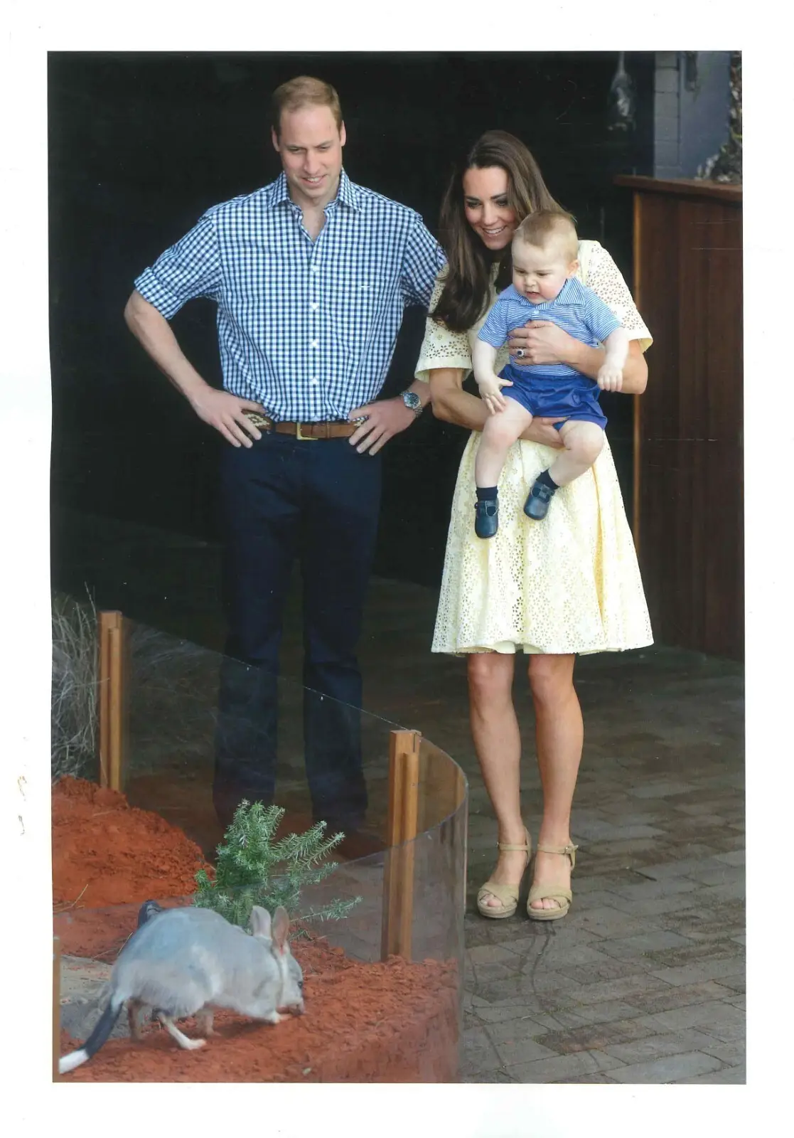 The Royals on Tour Magazine: King Charles, Queen Camilla, Princess Kate, 2024 - image 4 | Free standard UK delivery included | Discount Quality Products