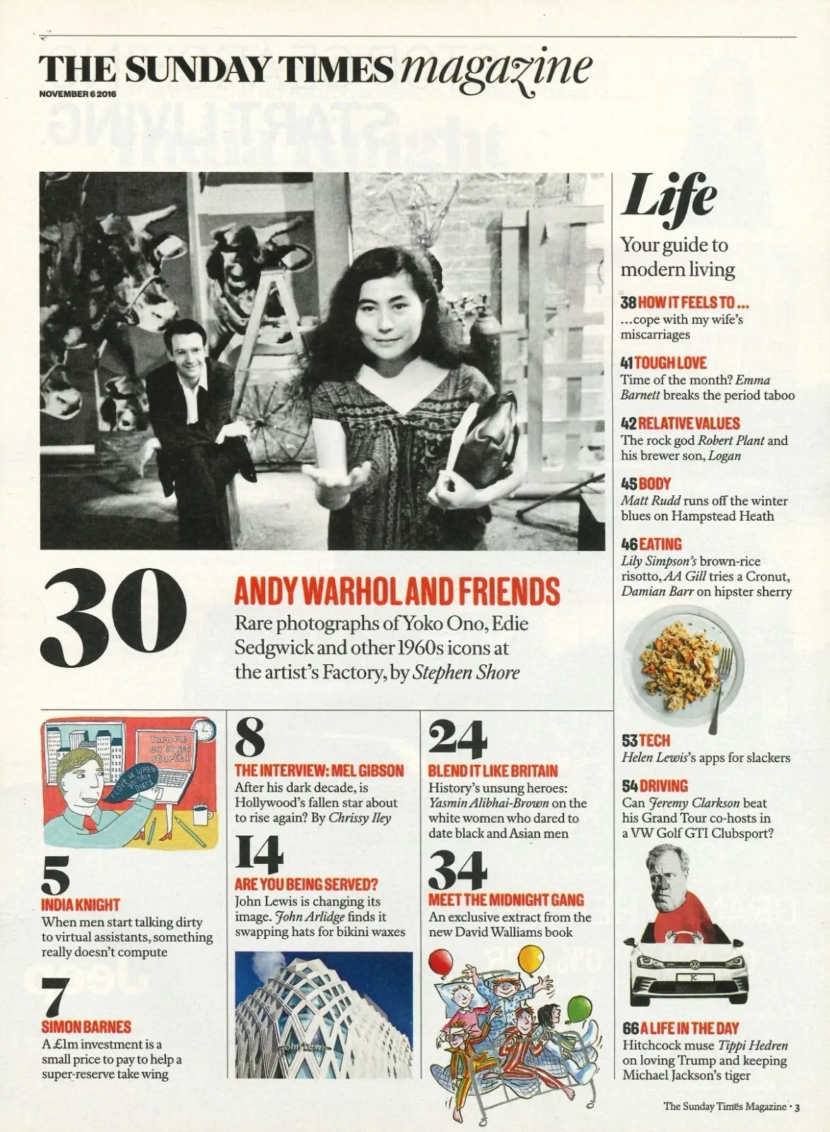 Sunday Times Magazine, Mel Gibson, Andy Warhol, Robert Plant, Tippi H, 6.11.16 - image 2 | Free standard UK delivery included | Discount Quality Products