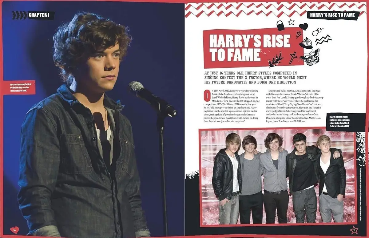Ultimate Harry Styles Magazine Fan Pack, 9 Gifts, 2024 Calendar, A1 Posters - image 5 | Free standard UK delivery included | Discount Quality Products