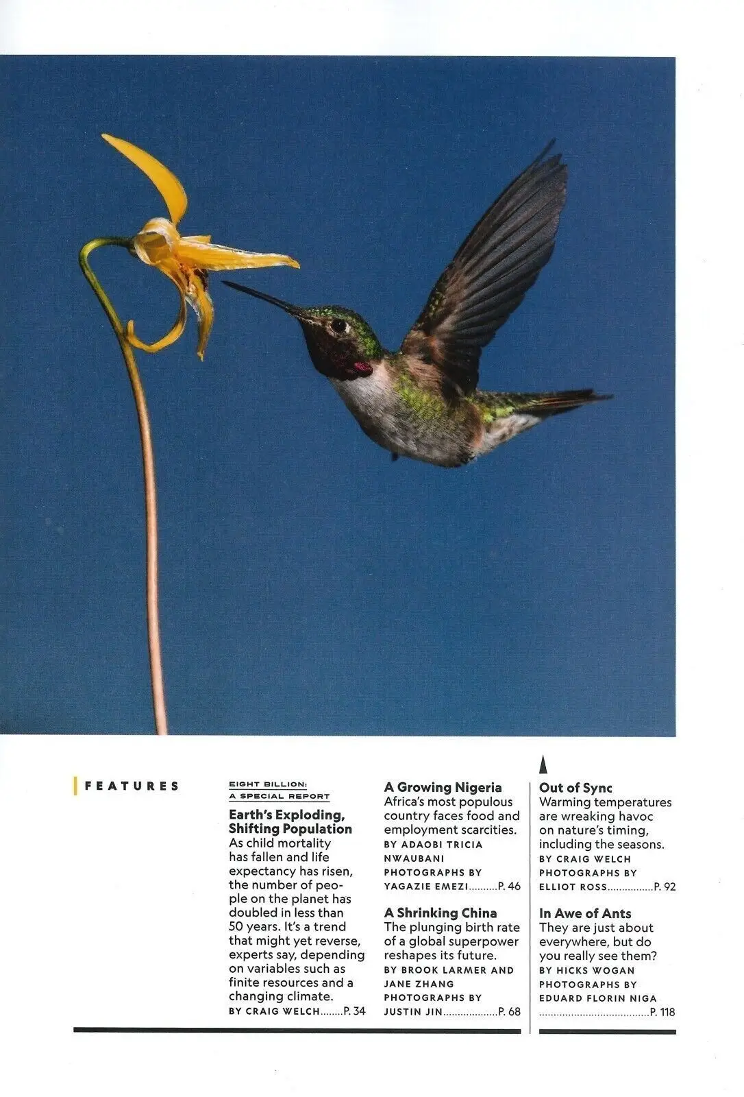 National Geographic Magazine, Population Paradox, Shrinking China, April 2023 - image 3 | Free standard UK delivery included | Discount Quality Products