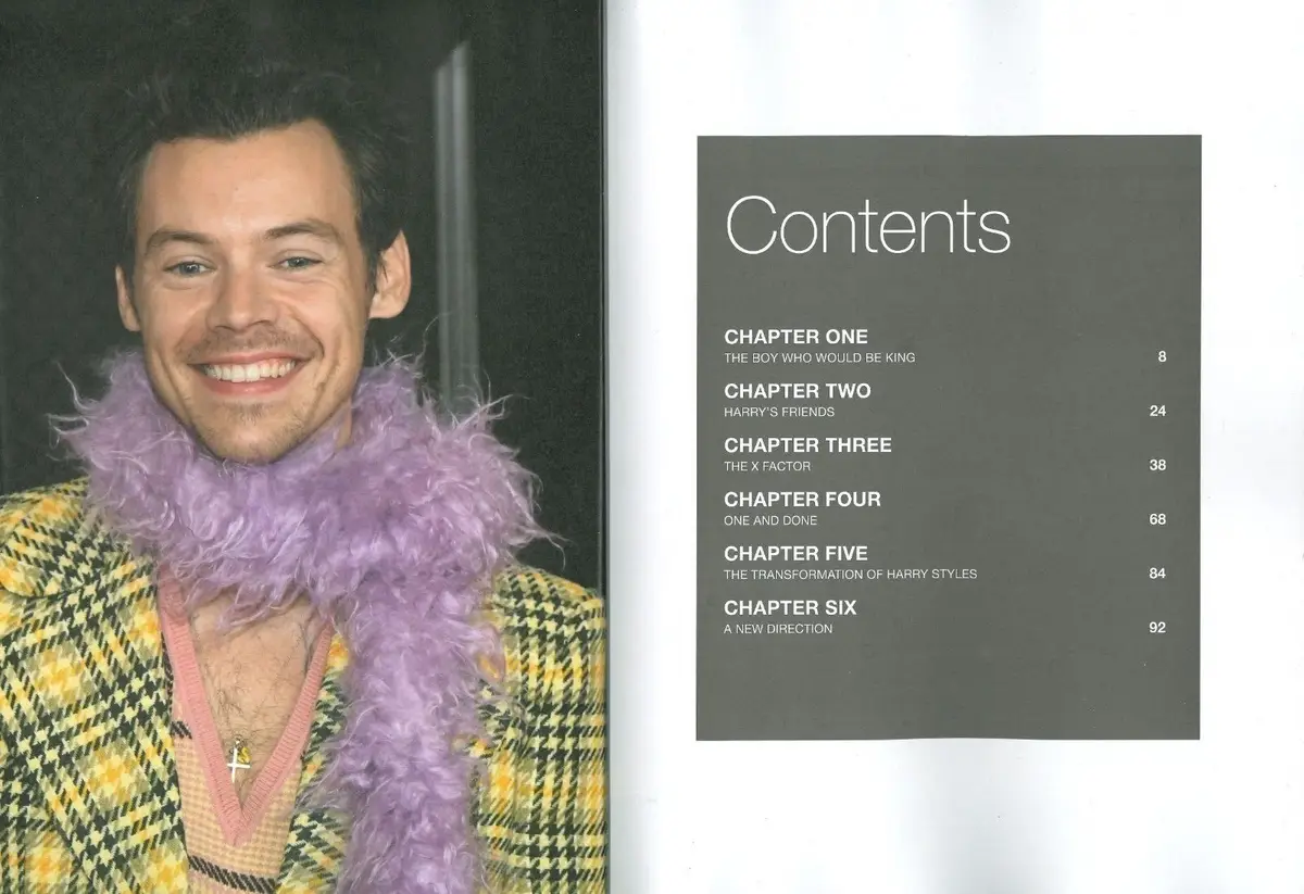 Harry Styles Fanbook Magazine Special Series, X Factor, 1 Direction, Solo, 2022 - image 2 | Free standard UK delivery included | Discount Quality Products