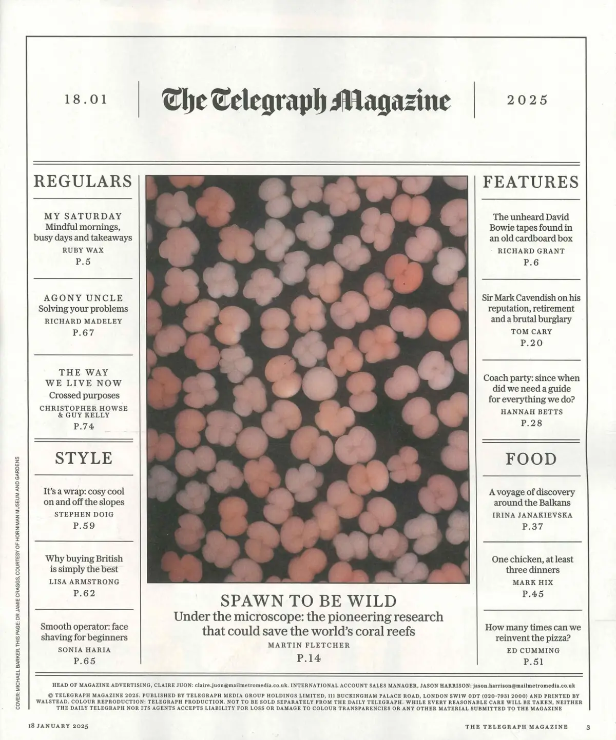 Telegraph Magazine: Lost David Bowie Tapes, Ruby Wax, Mark Cavendish, 18.1.25 - image 2 | Free standard UK delivery included | Discount Quality Products