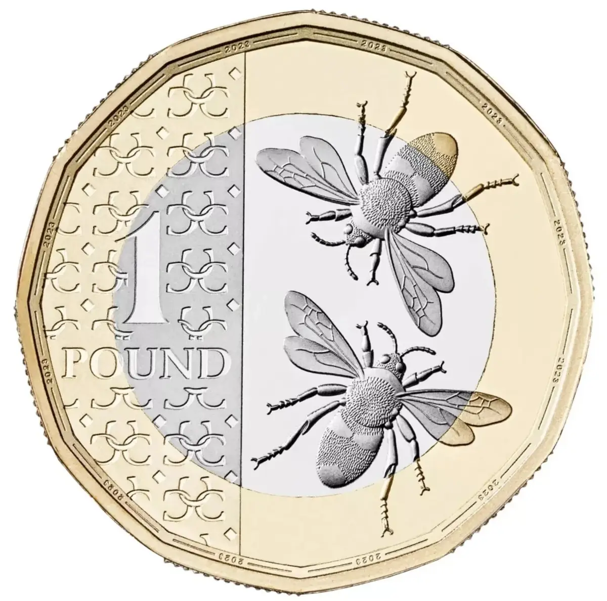 2023 UK King Charles III, Bees, £1 Circulated One Pound Coin, Rare Collectable - image 3 | Free standard UK delivery included | Discount Quality Products