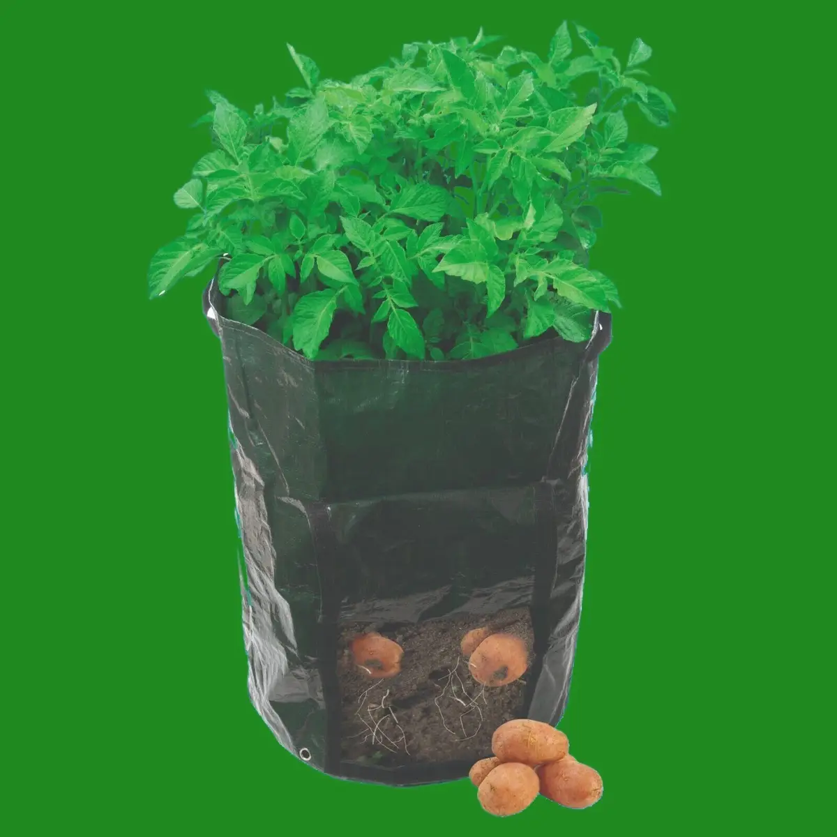 Potato Planting Bag Growing Home Garden Vegetables Tomato Washable Reusable