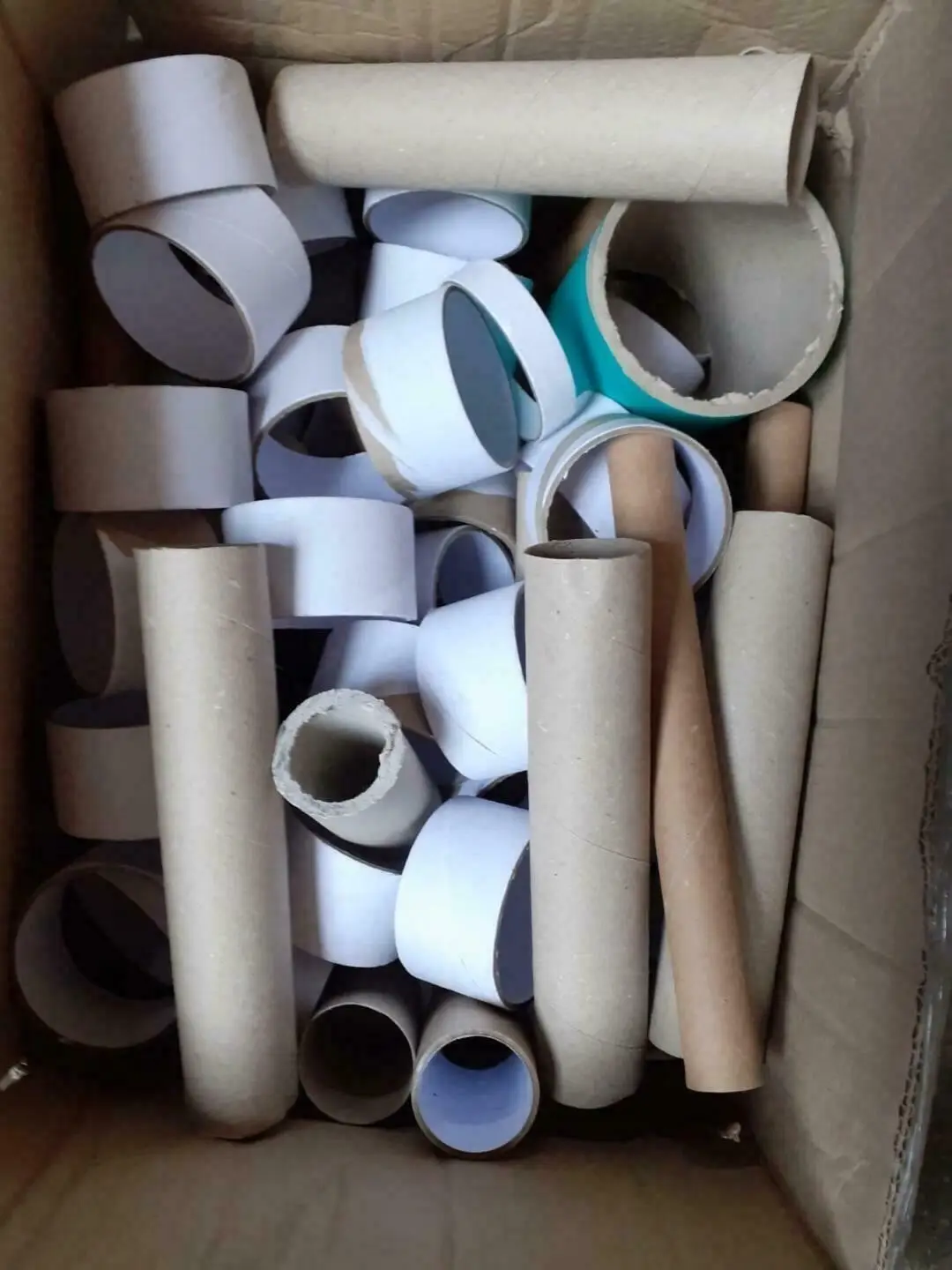 200+ Assorted Cardboard Rolls Tubes for Arts &amp; Crafts, Hobbies, DIY, String Reel
