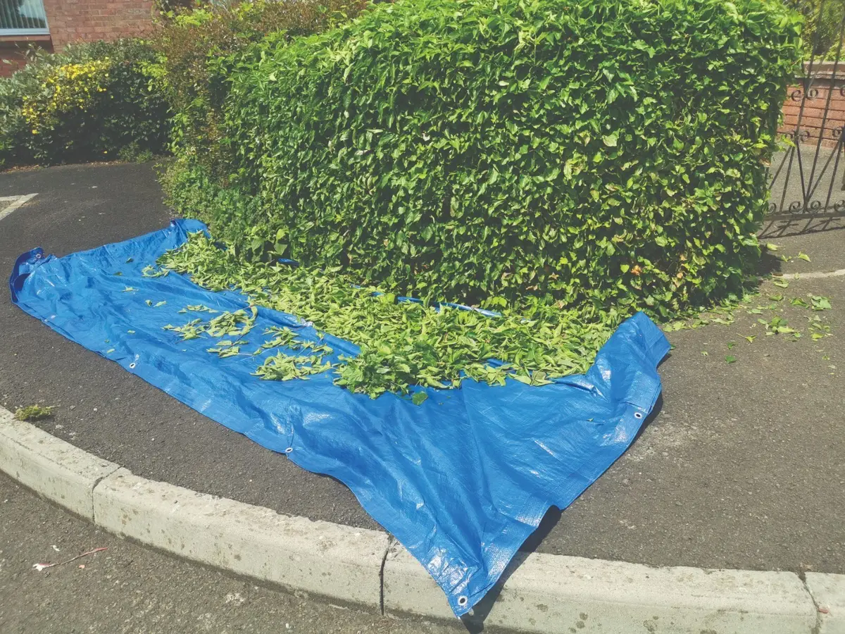 1.8m x 1.2m (6'x4') Waterproof Heavy Duty Strong Tarpaulin Camping, Garden Cover - image 7 | Free standard UK delivery included | Discount Quality Products