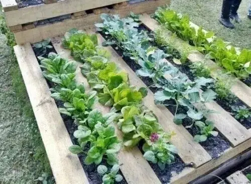 Wooden Pallets 1001 Uses; Just Google for Home & Garden DIY Project Ideas & Uses - image 4 | Free standard UK delivery included | Discount Quality Products