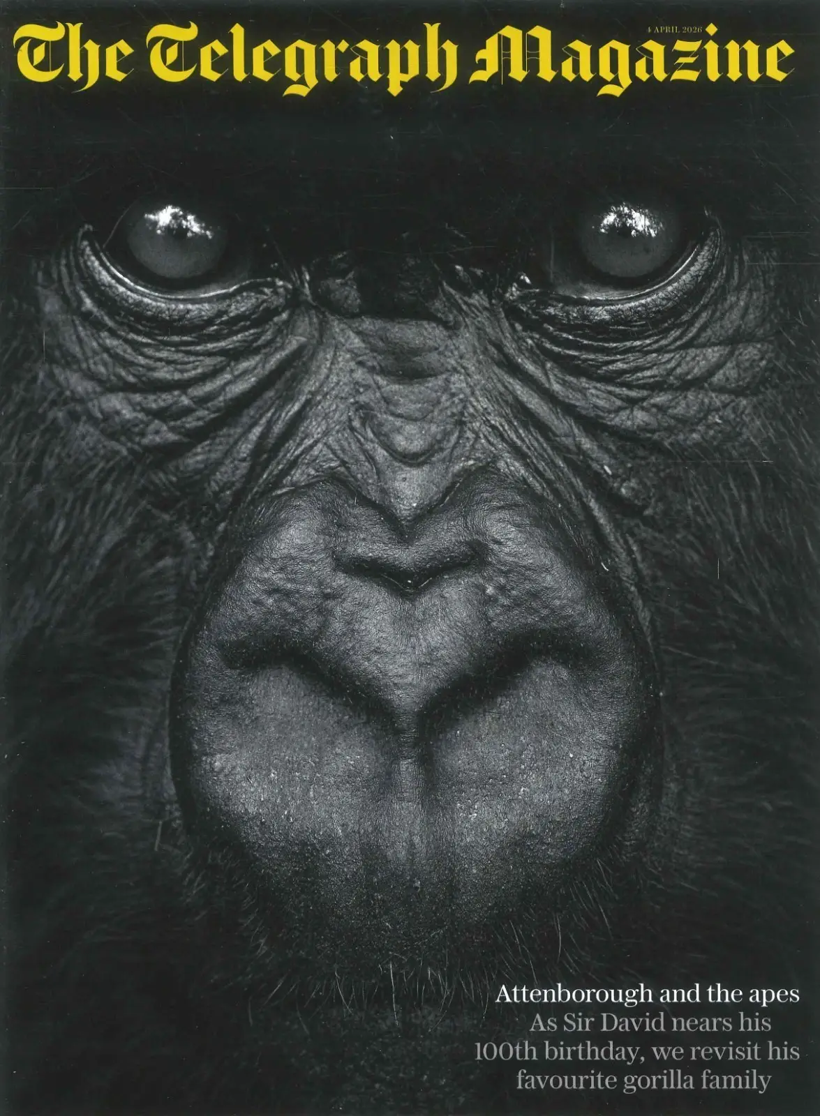 Telegraph Magazine: David Attenborough, Susan Calman, Richard Madeley, 4.4.26