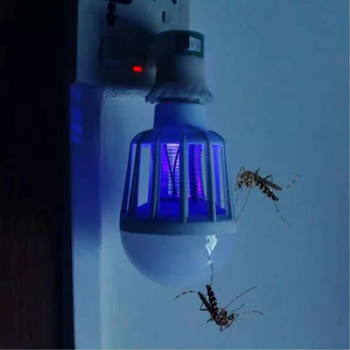 1x 9W LED ES E27 UV Insect Mosquito Zapper Killer, 2 in 1 Night Light Bulb Lamp - image 4 | Free standard UK delivery included | Discount Quality Products