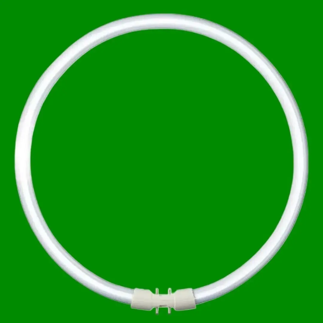 1x 40W BELL Circular 2GX13 4 Pin T5 300mm Fluorescent Tube 3000K Light Bulb - image 5 | Free standard UK delivery included | Discount Quality Products