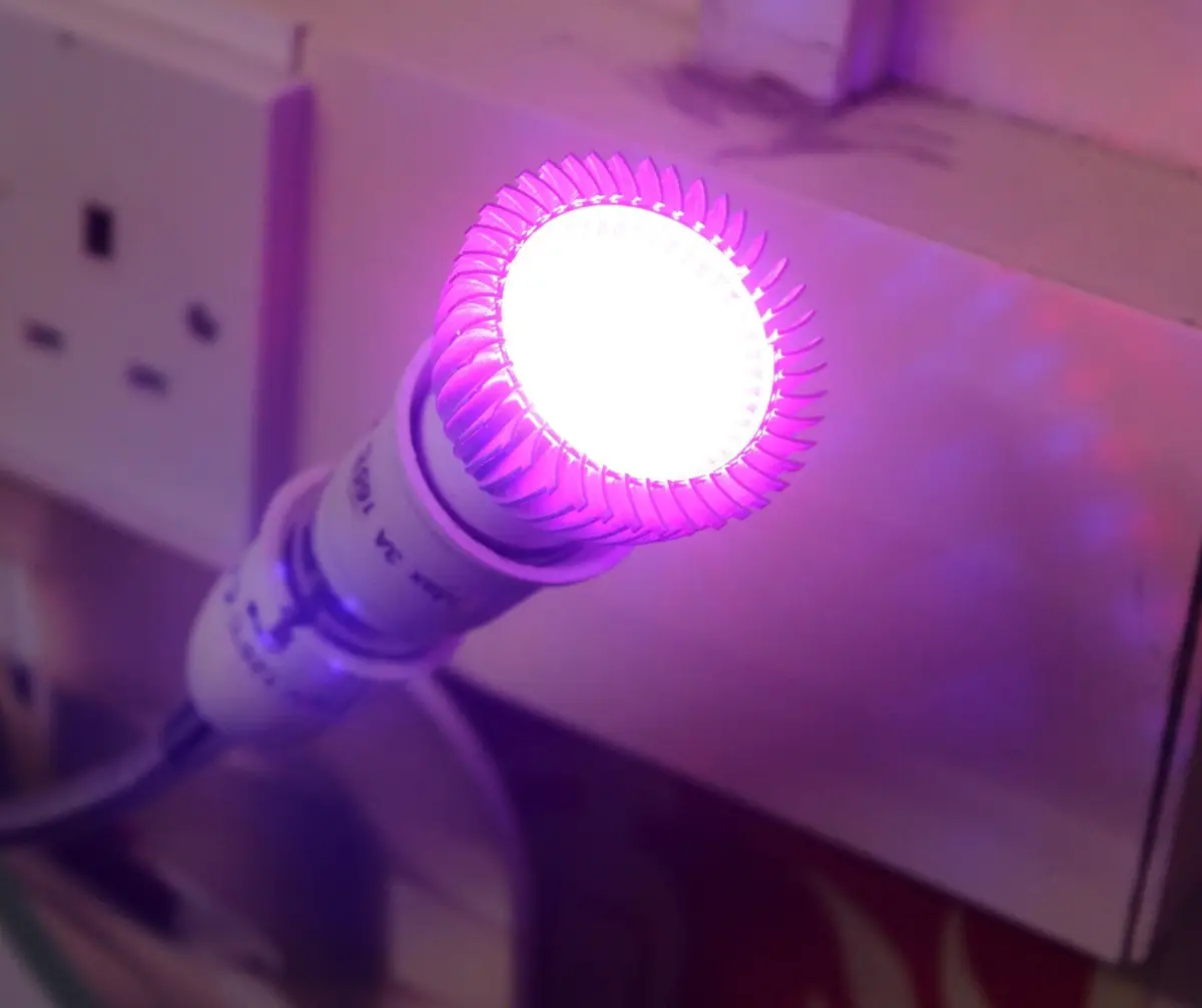 1x Purple / Violet Coloured LED Spotlight Edison Screw Cap E27 Light Bulb, Lamp