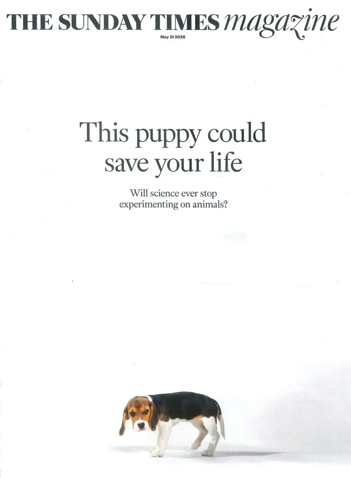 Sunday Times Magazine: Animal Testing, Jemaine Clement, Billy Ocean, 31.5.26