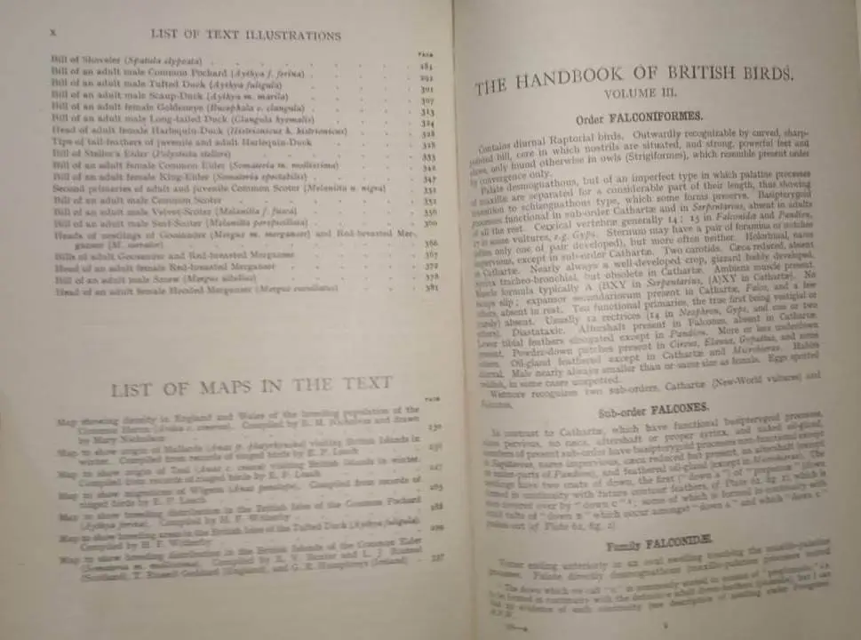 The Handbook of British Birds Vol. 1 to 5, Ornithology, Vintage Antique Books - image 10 | Free standard UK delivery included | Discount Quality Products