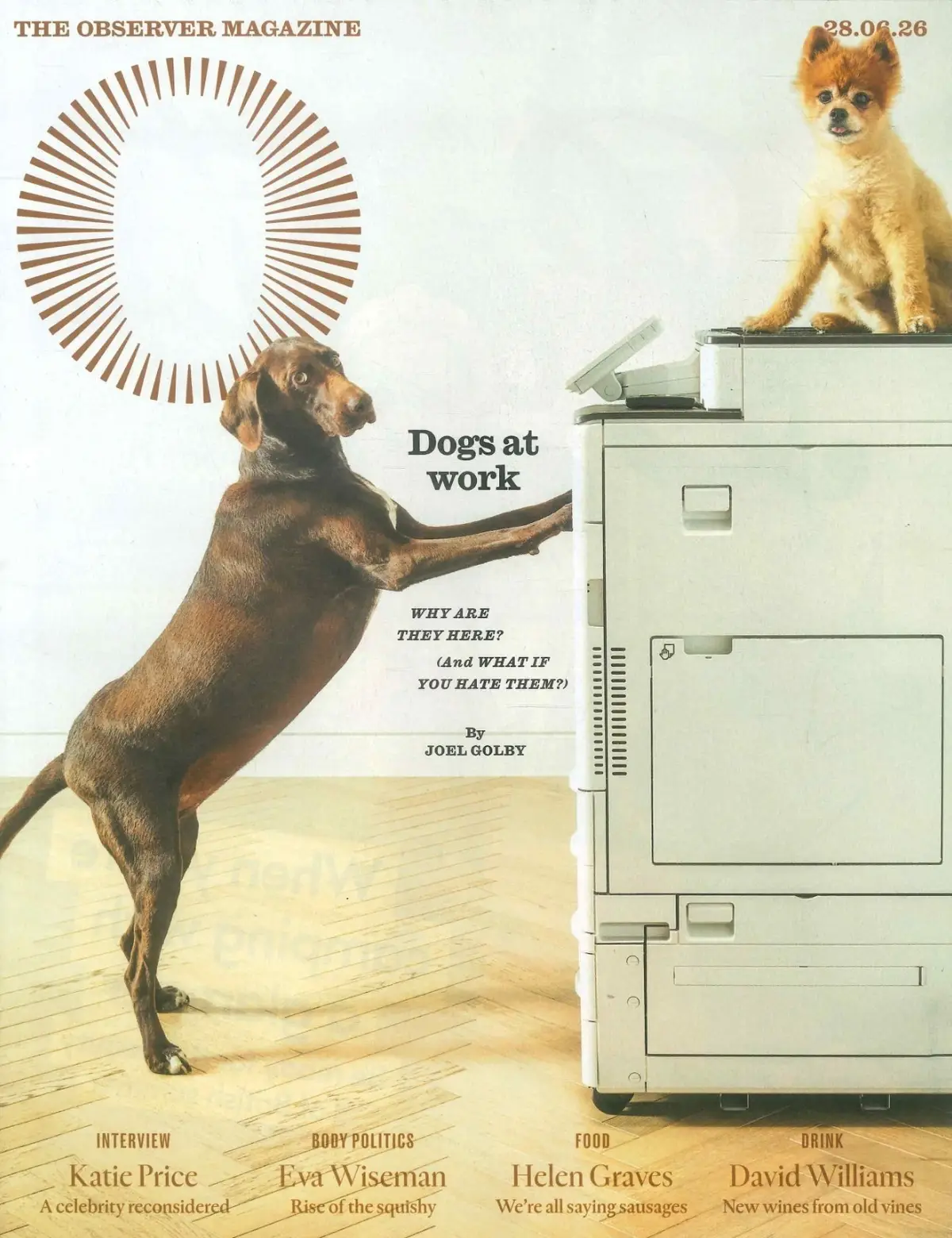 Observer Magazine: Dogs at Work, Katie Price, Lemn Sissay, Fashion, 28.6.26
