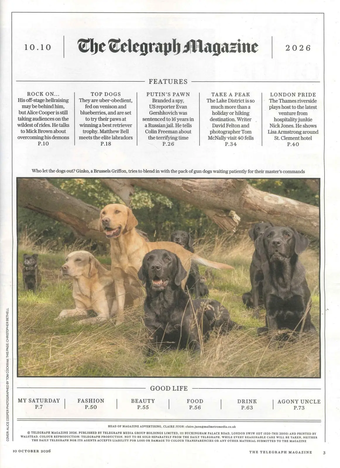 Telegraph Magazine: Alice Cooper, Evan Gershkovich, Lake District, 10.10.26 - image 3 | Free standard UK delivery included | Discount Quality Products