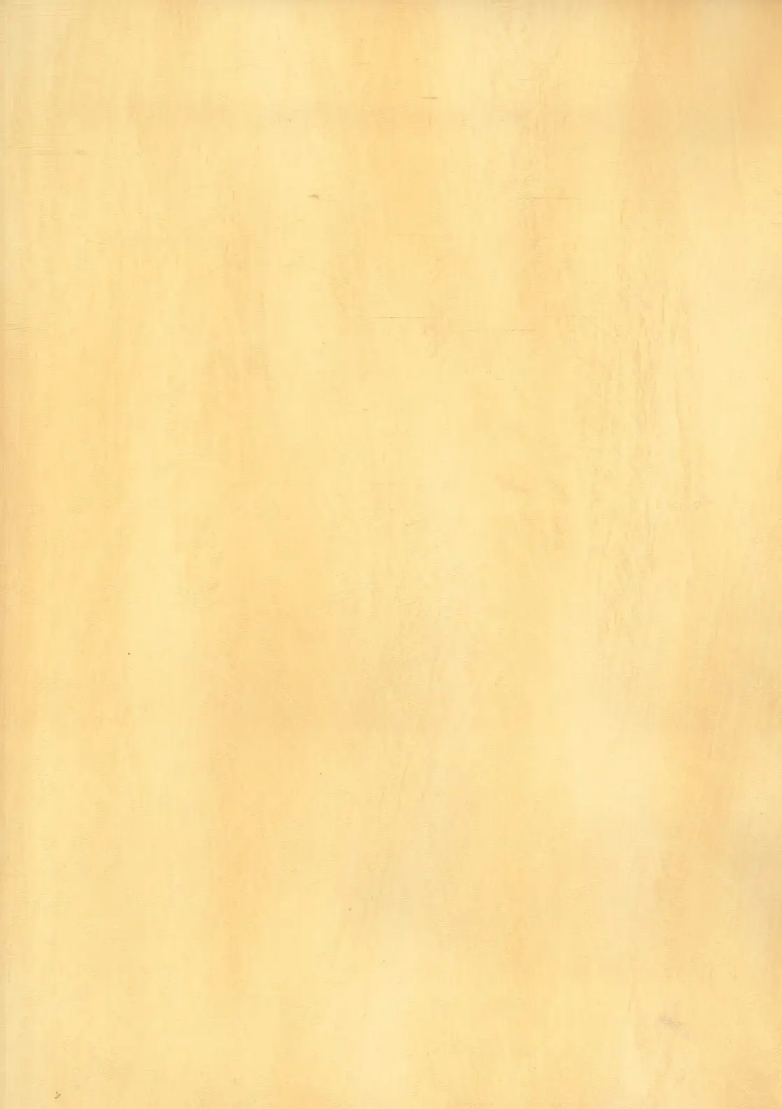 Holden Décor Vinyl Washable Wallpaper 10m x 53cm Free Match Beige Cream Textured - image 2 | Free standard UK delivery included | Discount Quality Products